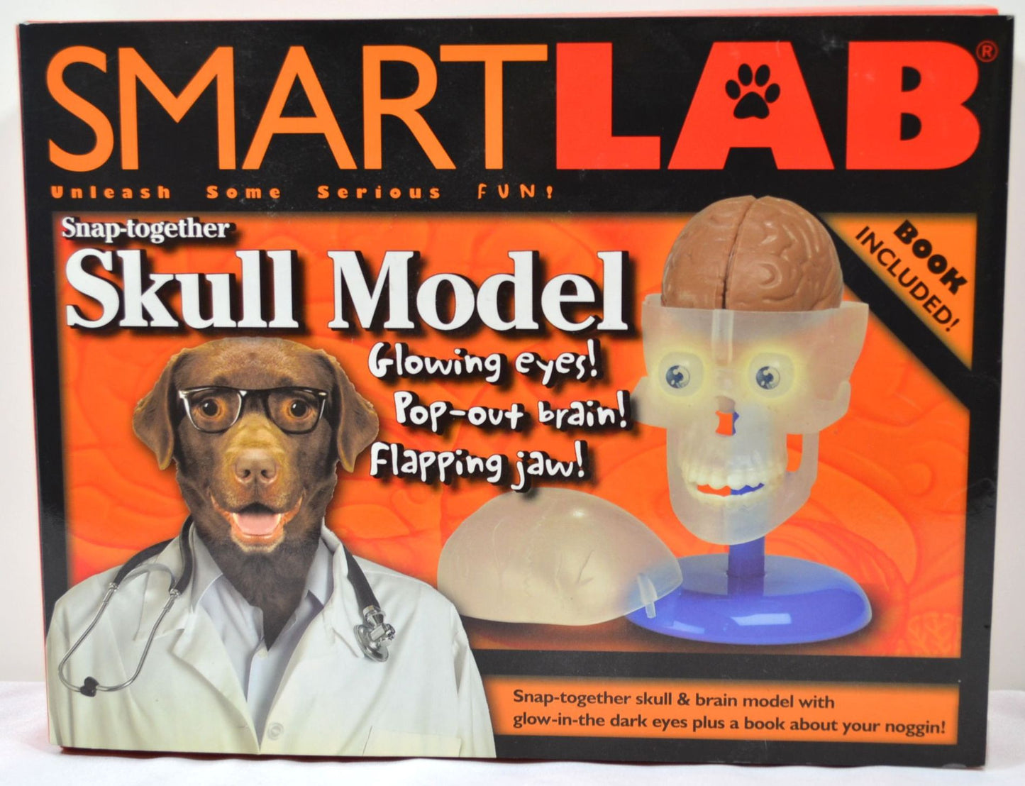 SmartLab Snap- Together Skull Model - FS GIFTS